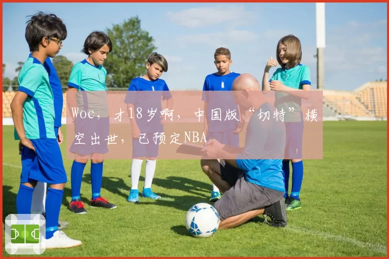 Woc，才18岁啊，中国版“切特”横空出世，已预定NBA